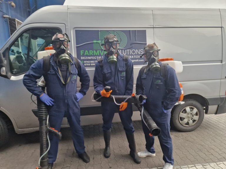 Echipa farmvetsolutions inainte de a interveni corespunzator intr-un proces de dezinsectie