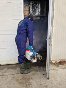Proces de dezinsectie in cadrul unei incaperi industriale